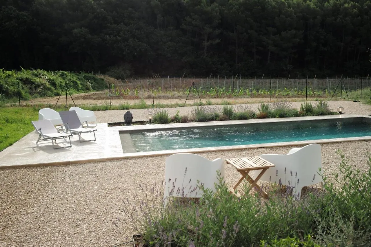 Maison Des Vignes Swimming Pool And Charm In Lauris France