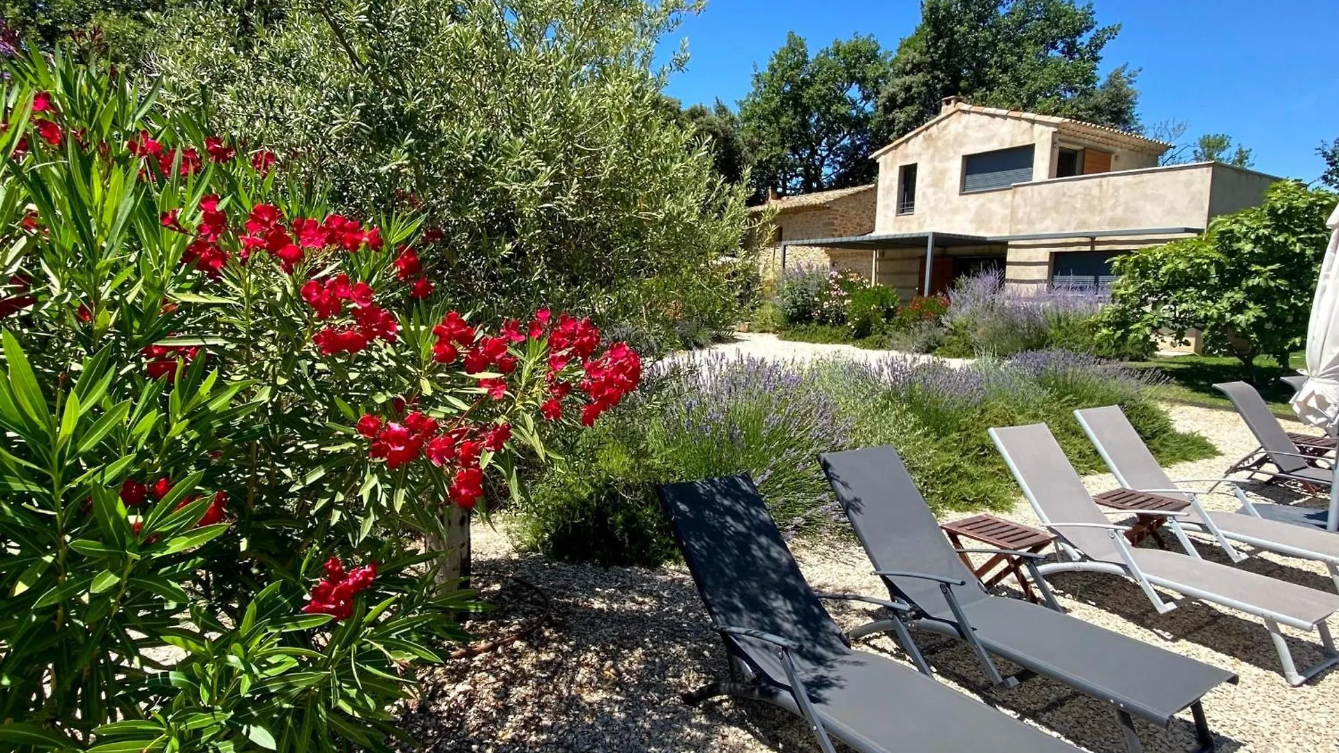 Holiday home Maison Des Vignes Swimming Pool And Charm In Lauris