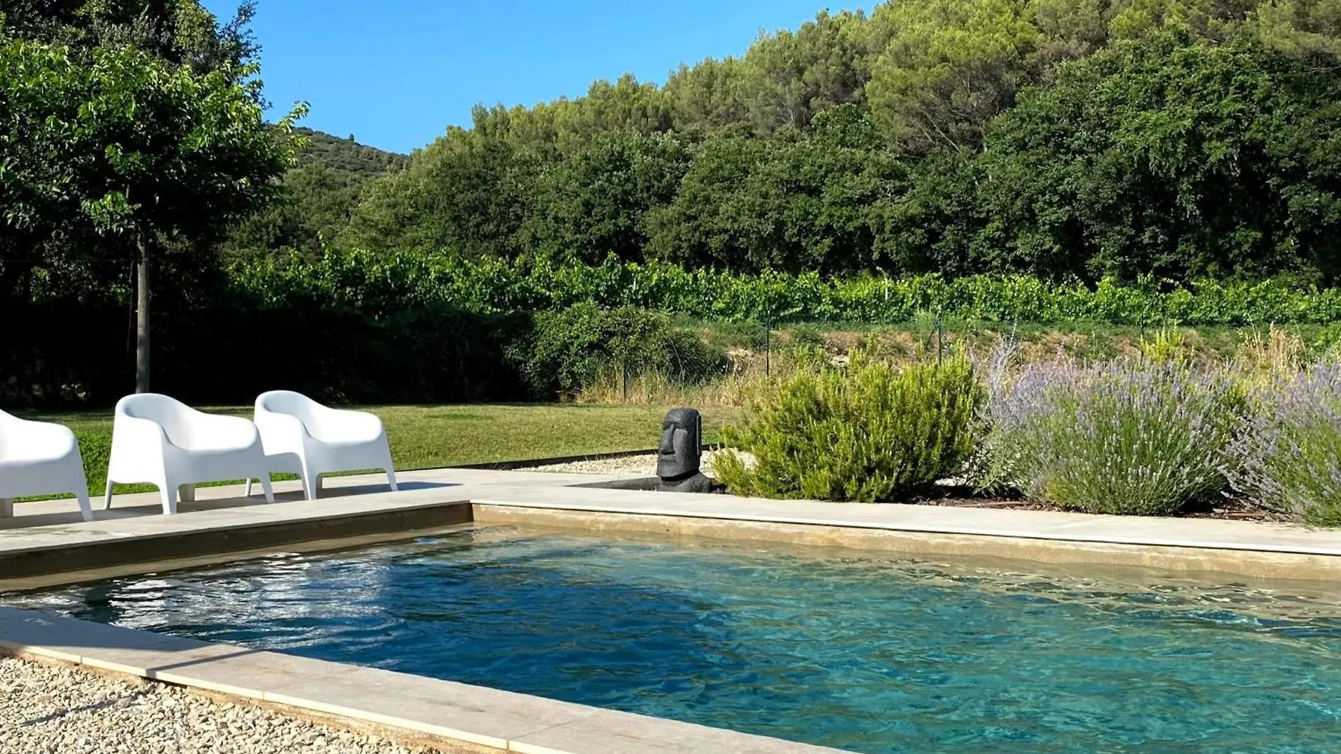 Holiday home Maison Des Vignes Swimming Pool And Charm In Lauris France